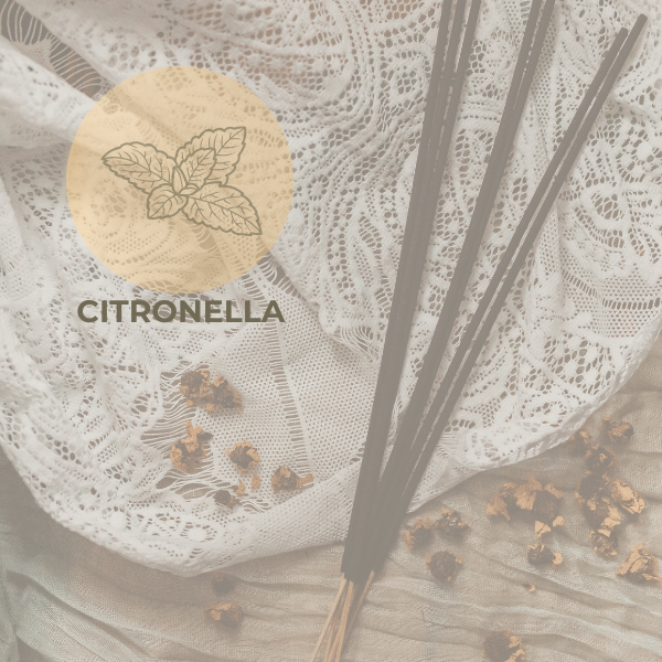 The Citronella Incense