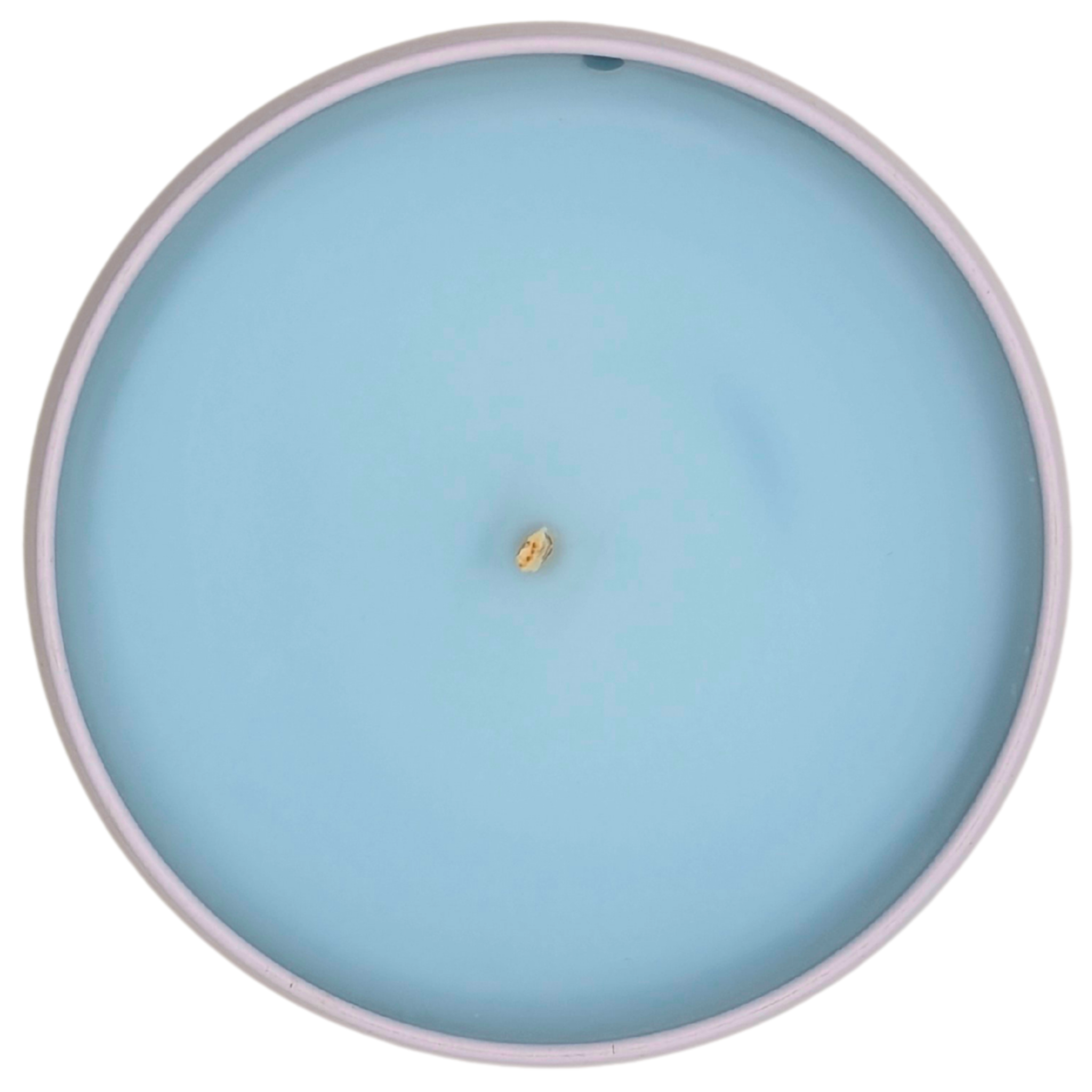 Grounded™ Tranquil Soy Candle | Calm Centered Strength – ResilScents™