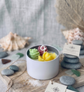 Cactus Jar Candle — Tricolor Rosette Garden | Soy Wax, Handmade in USA